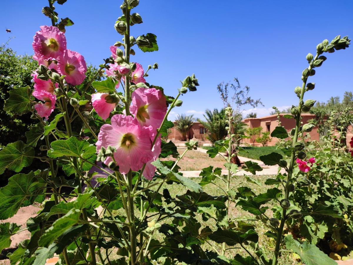 Maison D'Hotes Tigminou - Adults Only Αΐτ-Μπεν-Χαντού Εξωτερικό φωτογραφία